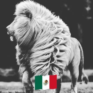 Meet your Posher, Chavez